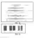 Fig. 07 - LABYRINTHULID MICROORGANISM CAPABLE OF PRODUCING MICROBIAL OIL, MICROBIAL OIL, METHODS FOR PRODUCING SAID MICROORGANISM AND FOR PRODUCING SAID MICROBIAL OIL, AND USES OF SAID MICROORGANISM AND SAID MICROBIAL OIL