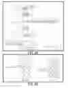 Fig. 28 - LABYRINTHULID MICROORGANISM CAPABLE OF PRODUCING MICROBIAL OIL, MICROBIAL OIL, METHODS FOR PRODUCING SAID MICROORGANISM AND FOR PRODUCING SAID MICROBIAL OIL, AND USES OF SAID MICROORGANISM AND SAID MICROBIAL OIL