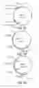 Fig. 32 - LABYRINTHULID MICROORGANISM CAPABLE OF PRODUCING MICROBIAL OIL, MICROBIAL OIL, METHODS FOR PRODUCING SAID MICROORGANISM AND FOR PRODUCING SAID MICROBIAL OIL, AND USES OF SAID MICROORGANISM AND SAID MICROBIAL OIL