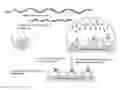 Fig. 01 - Methods and compositions for whole genome amplification and genotyping