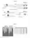 Fig. 03 - Methods and compositions for whole genome amplification and genotyping