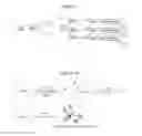 Fig. 06 - Methods and compositions for whole genome amplification and genotyping