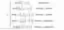 Fig. 24 - Detecting mutations and ploidy in chromosomal segments