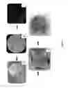 Fig. 02 - MICROBE ASSOCIATIONS THAT HAVE NEW OR IMPROVED CHARACTERISTICS