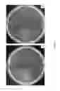 Fig. 09 - MICROBE ASSOCIATIONS THAT HAVE NEW OR IMPROVED CHARACTERISTICS