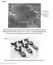 Fig. 06 - Composite phosphate coatings