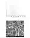 Fig. 01 - Method for the production of conductive structures