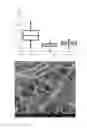 Fig. 04 - Method for the production of conductive structures