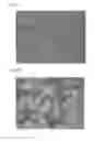 Fig. 04 - Ink application method and method for producing wallpaper