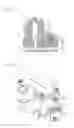Fig. 03 - Grounding structure for internal combustion engine