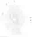 Fig. 06 - Fan central barrel coupling structure