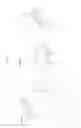 Fig. 02 - Connecting rod