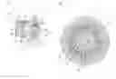 Fig. 01 - STRAIN WAVE GEARING