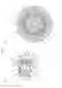 Fig. 02 - STRAIN WAVE GEARING