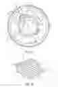 Fig. 17 - Lightweight torque transmission gear