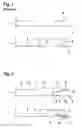 Fig. 02 - Method for actuating a valve
