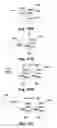 Fig. 32 - LED tube lamp