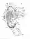 Fig. 01 - Lighting fixture