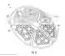 Fig. 14 - Reduced glare light fixture