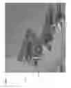Fig. 02 - Modular light fixture frames and housings