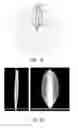 Fig. 09 - Luminaire uplight