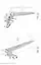 Fig. 30 - CLIP LIGHTS AND RELATED SYSTEMS