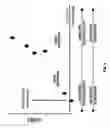 Fig. 07 - Apparatus and method for customized hair-coloring