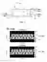 Fig. 02 - Silicon-based multiplexer/demultiplexer
