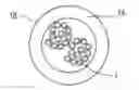 Fig. 01 - Round and small diameter optical cables with a ribbon-like optical fiber structure