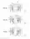 Fig. 07 - Optical unit with shake correction function structured to swing optical element