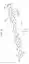 Fig. 09 - Image forming apparatus