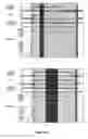 Fig. 98 - Device, method, and user interface for processing intensity of touch contact