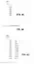 Fig. 06 - METHOD FOR CREATING A MENU STRUCTURE ON A MEASURING TRANSDUCER, AND MEASURING TRANSDUCER