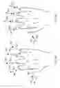 Fig. 50 - Calibrated finger-mapped gesture systems