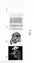 Fig. 14 - Page segmentation of vector graphics documents