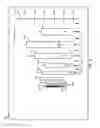 Fig. 07 - SYSTEMS AND METHODS TO DISPLAY CHART BARS WITH VARIABLE SCALING AND/OR AGGREGATION