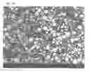 Fig. 14 - Inductor element