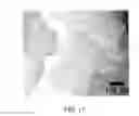 Fig. 22 - Dielectric materials using 2D nanosheet network interlayer