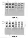 Fig. 04 - Method for forming stacked nanowire transistors