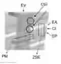 Fig. 01 - Semiconductor memory component integrating a nano-battery, semiconductor device including such a component and method using such a device