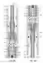Fig. 05 - Electrical test splice for coiled tubing supported well pump