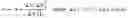 Fig. 40 - Adaptive control of wireless power transfer