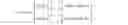 Fig. 06 - SIGNAL CODING USING ORTHOGONAL VARIABLE SPREADING FACTOR CODE SET