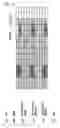 Fig. 20 - Method and device for transmitting and receiving signals