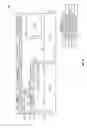 Fig. 07 - Unified frame structure