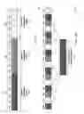 Fig. 09 - Downlink control channel structure for low latency communications