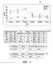 Fig. 08 - Incident management for complex information technology platforms
