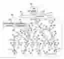 Fig. 01 - Optimization of packet transmission paths