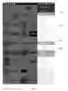 Fig. 02 - Method and apparatus for viewing and filtering media content