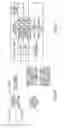 Fig. 09 - Moving picture coding device and moving picture coding method